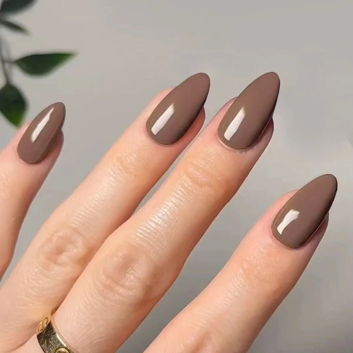 Classic Glossy Solid Color Long Pointed Fake Nails Brown Green Grey Blue Detachable Finished False Nails Press on Nail with Glue